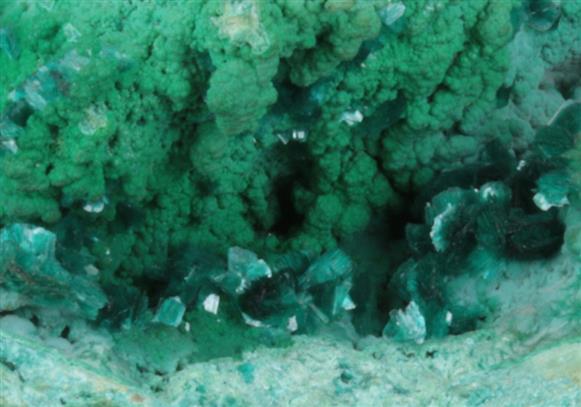 CC9076 specimen image
