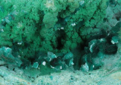 CC9076 specimen image