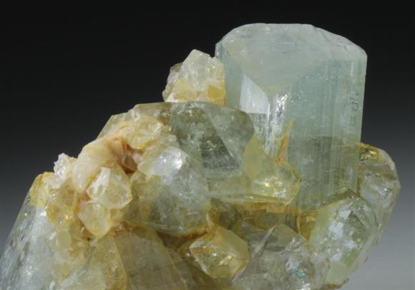 CC9082 specimen image