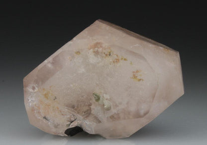 CC9105 specimen image