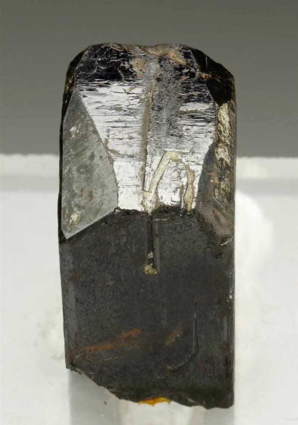 CC9106 specimen image