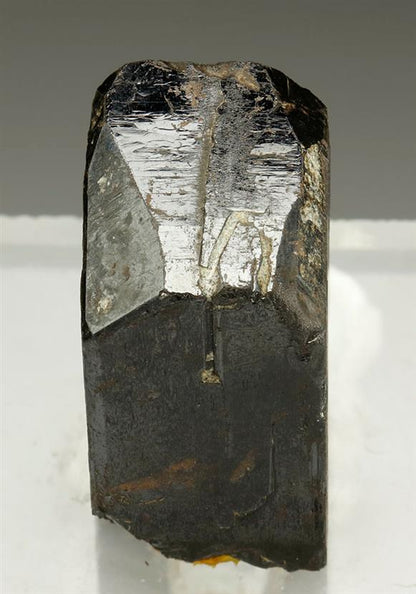 CC9106 specimen image