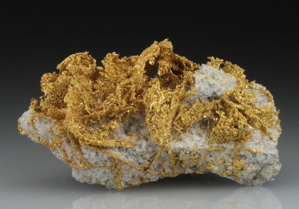 CC9111 specimen image