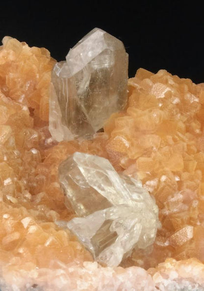 CC9124 specimen image