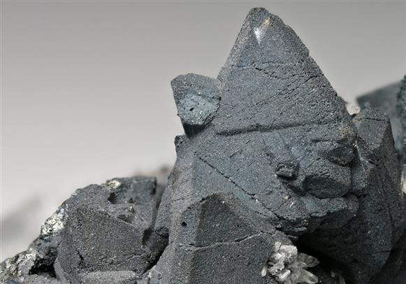 CC9159 specimen image