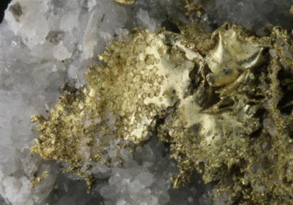 CC9175 specimen image