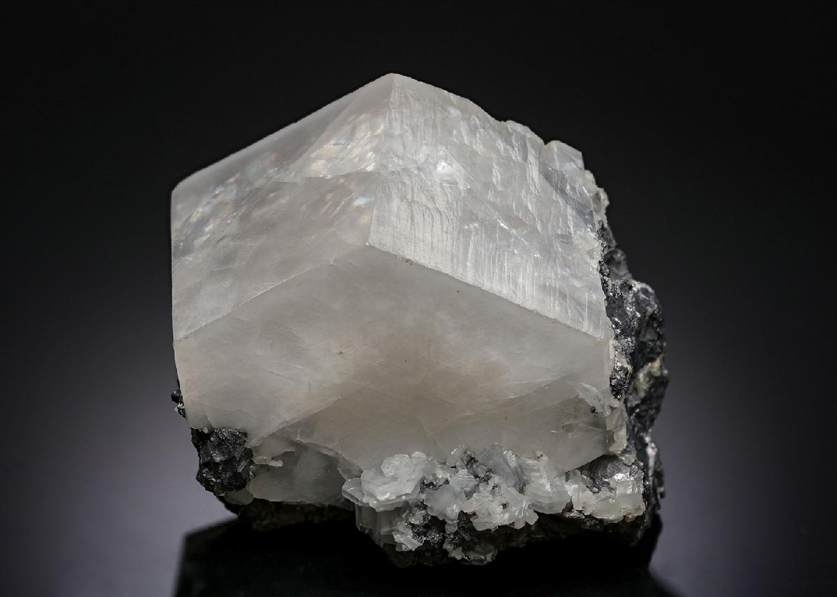 CC9181 specimen image