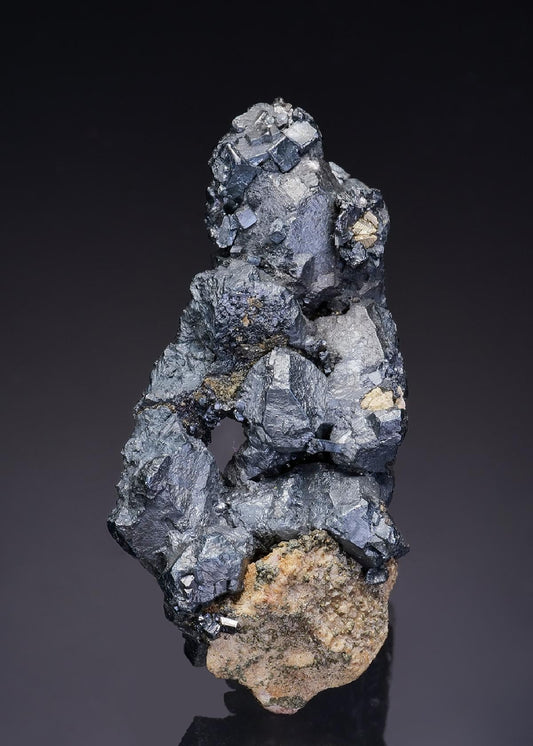 CC9194 specimen image