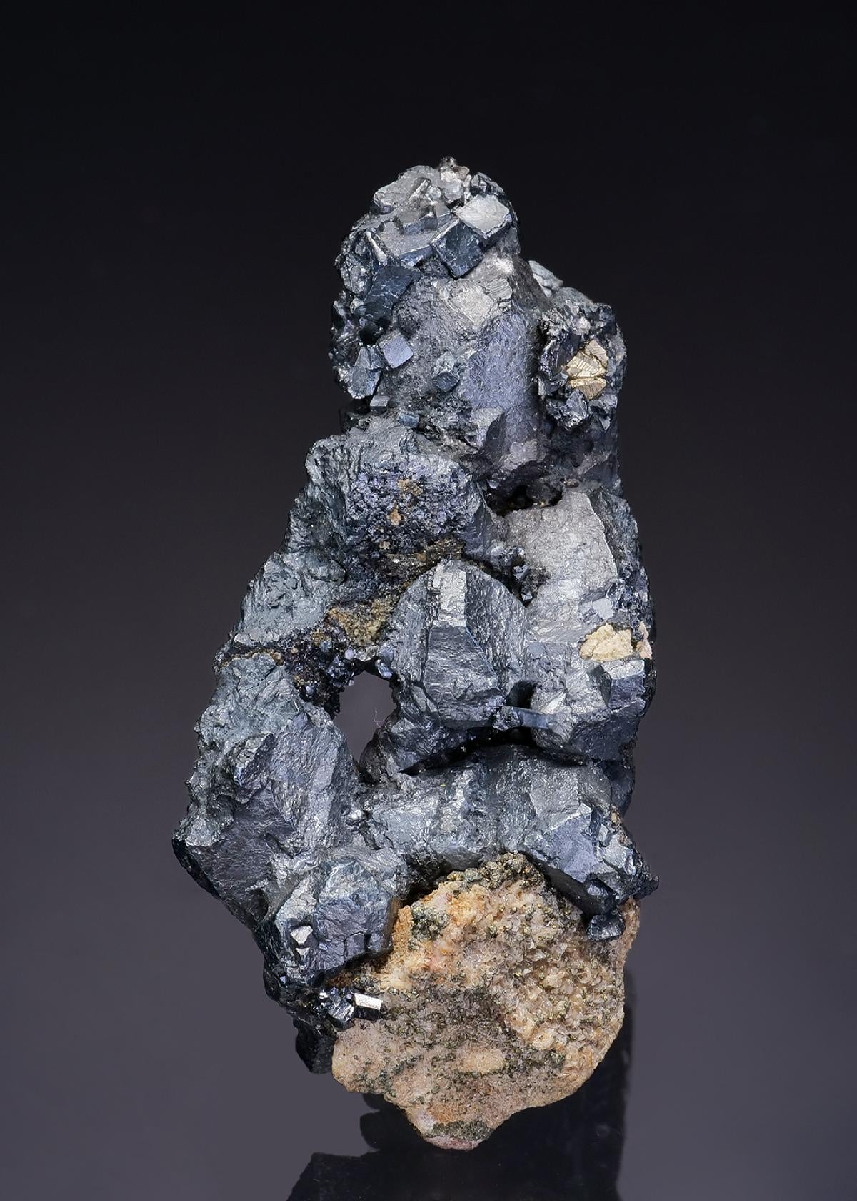 CC9194 specimen image