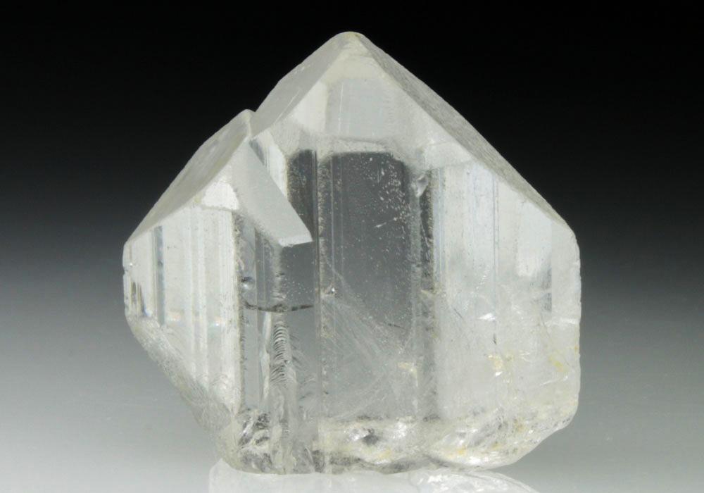 CC9220 specimen image