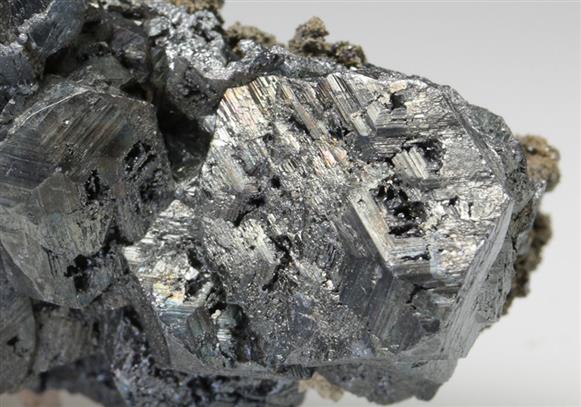 CC9225 specimen image