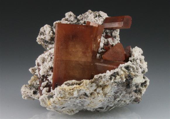 CC9248 specimen image
