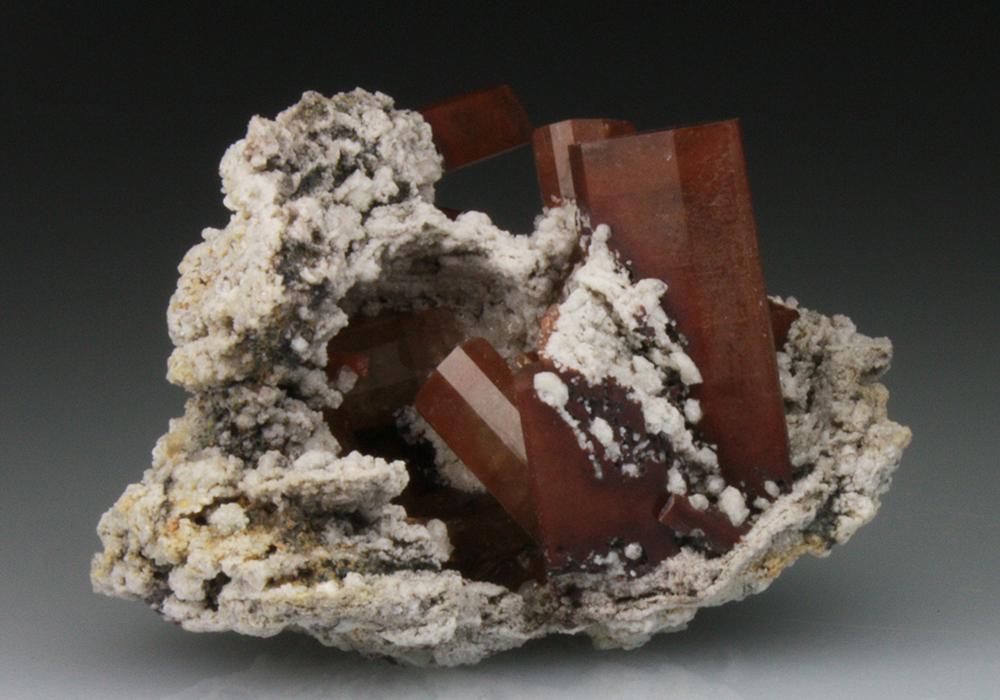 CC9248 specimen image