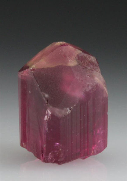 CC9252 specimen image