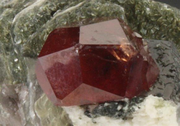 CC9256 specimen image