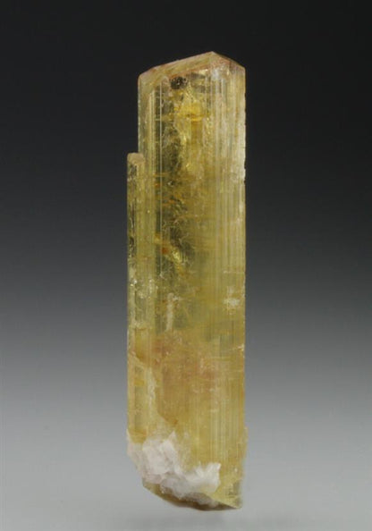 CC9257 specimen image