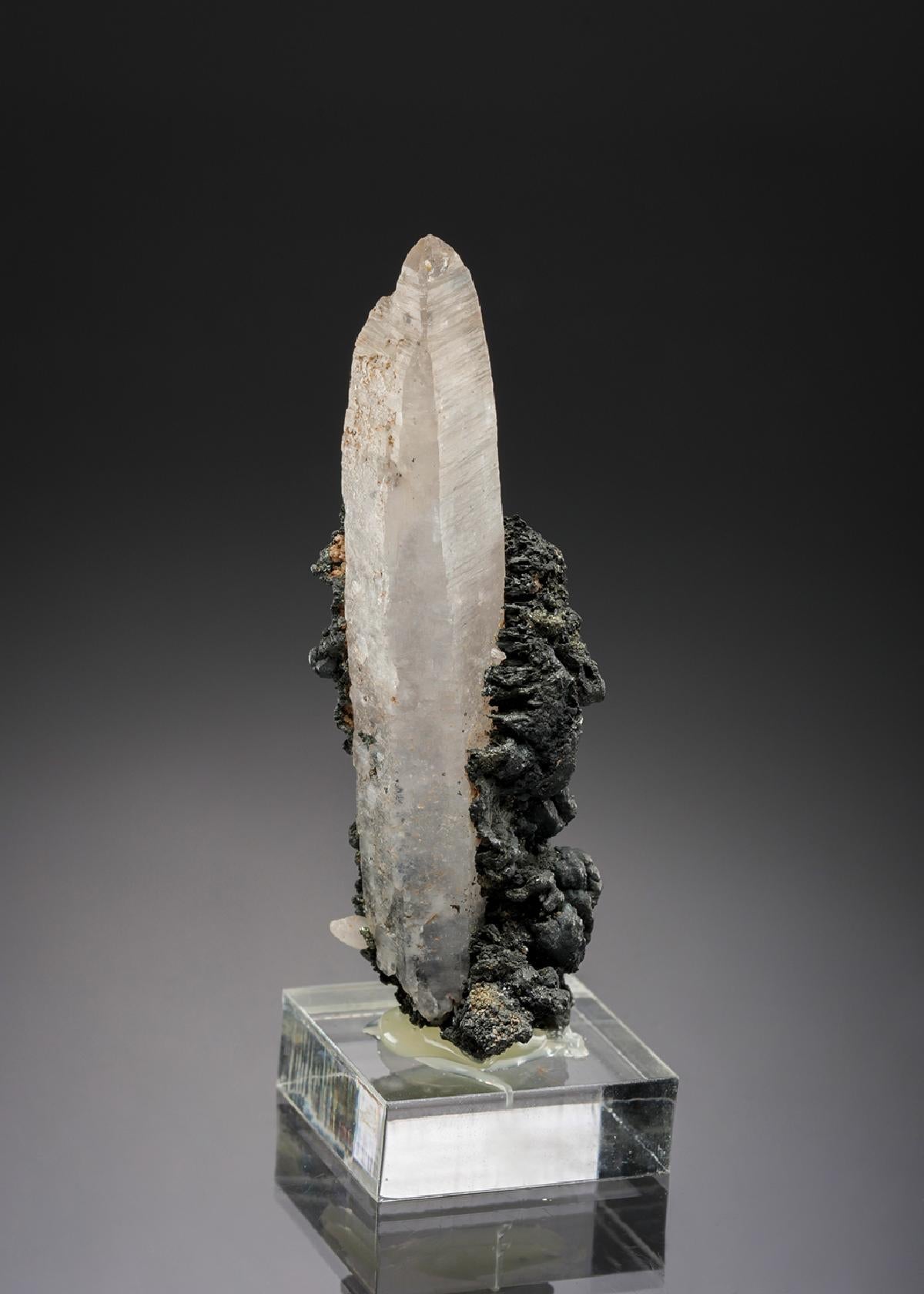 CC9264 specimen image