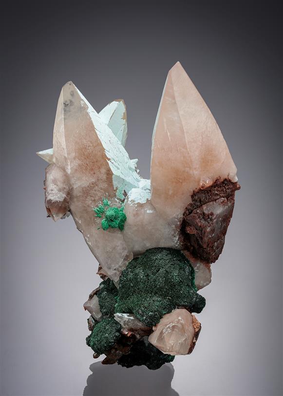 CC9266 specimen image