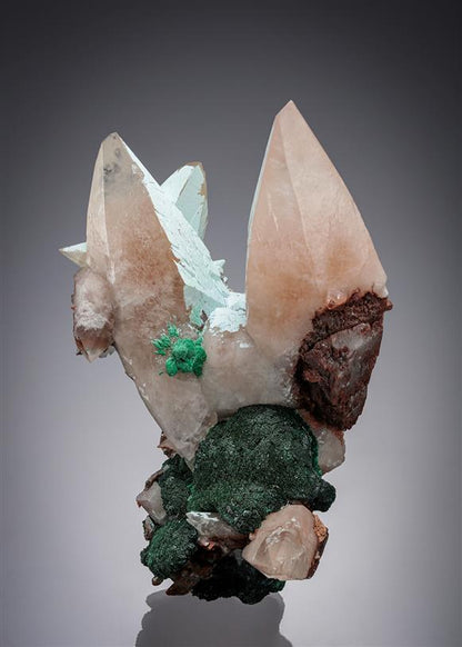 CC9266 specimen image