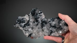 HEMATITE Var. SPECULARITE with QUARTZ