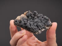 STEPHANITE   with PROUSTITE