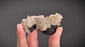 CALCITE   on Schalenblende