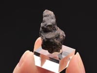 CASSITERITE   var. Wood Tin