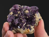 FLUORITE with APATITE and CALCITE