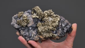 PYRITE and GALENA on FLUORITE