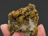 MIMETITE var.  CAMPYLITE