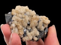 GALENA with ARSENOPYRITE  and  CALCITE