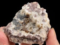 NATIVE GOLD with  NAUMANNITE  and CLAUSTHALITE