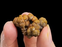 MIMETITE var. CAMPYLITE
