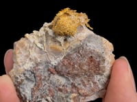 NATIVE GOLD