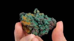 MALACHITE on CUPRITE  with NATIVE COPPER