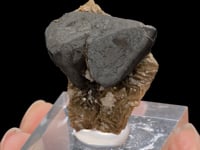 TETRAHEDRITE