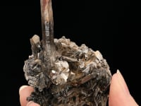 Smoky QUARTZ with CASSITERITE  on "Zinnwaldite"