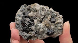 CASSITERITE   with QUARTZ and Mica