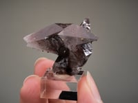 CALCITE