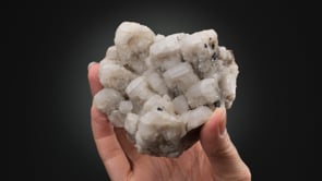 CALCITE with SIDERITE  and QUARTZ