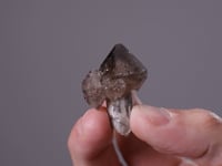 Smoky Sceptre QUARTZ