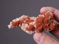 INESITE with CALCITE