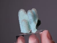 CHRYSOCOLLA ps. after MALACHITE  ps. after AZURITE  with QUARTZ