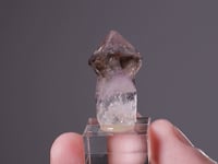 Smoky Sceptre QUARTZ