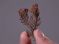 NATIVE COPPER