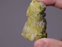 'CHARLESITE'