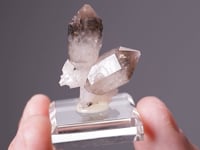 Smoky Sceptre QUARTZ