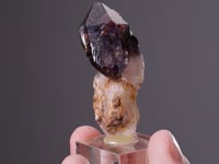 QUARTZ var. Sceptre Amethyst
