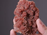 INESITE