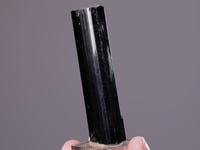 TOURMALINE
